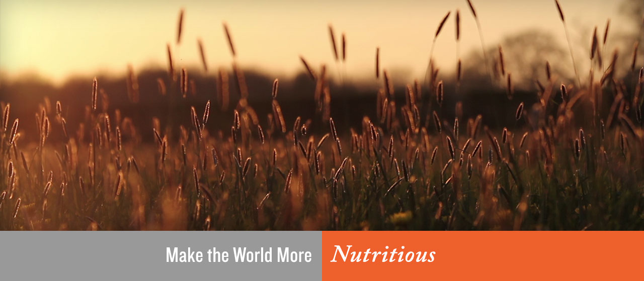 Make the World More Nutritious