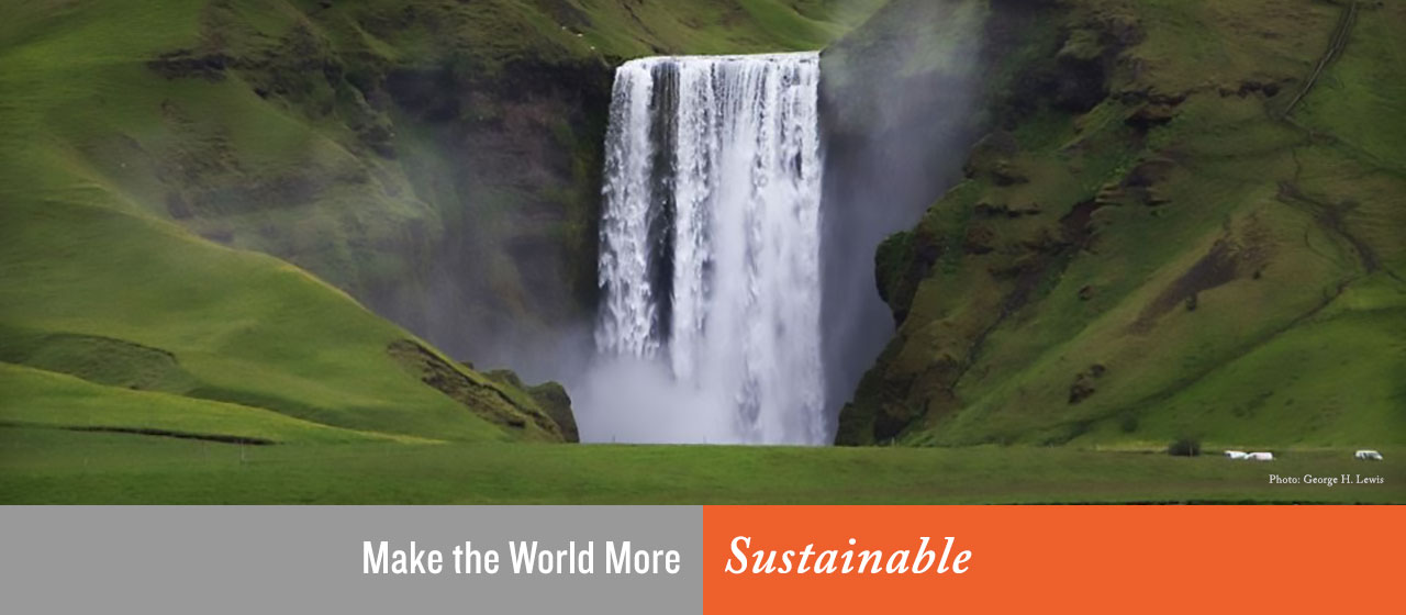 Make the World More Sustainable