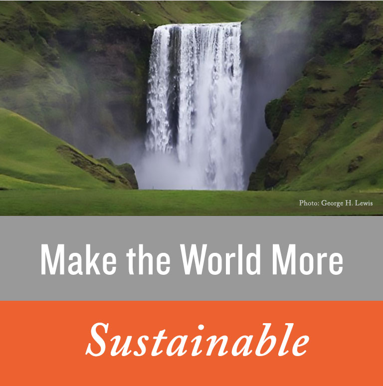 Make the World More Sustainable